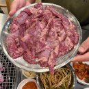 뚝심 | 동탄 개나리공원 맛집 뚝심갈매기 방문후기