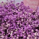 경기대학교 공학대학원 이미지