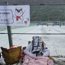 산천낚시터 | [강원 화천] 2026 화천 산천어 축제 방문 후기 | 산천어축제 꿀팁