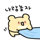 양양서핑 핀스서프