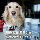 (J)생활건강 | 9살 까꿍이와 함께 시작한 닥터독 베츠초이스 뉴트리션 J+ / S+ 후기