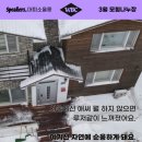 대피소 울릉 이미지