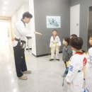 용인대다옴태권도장 이미지