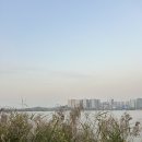 11월 셋째 주