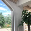 고가네제주오겹살 이미지