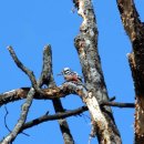 덕유산이야기 이미지