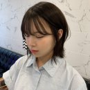 세련헤어 - 정읍시 | 세련헤어