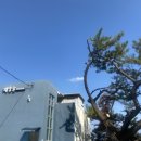 채움늘풀빌라 이미지