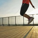 내체력 태권도장 이미지