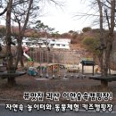 한창 카 써비스 | 뷰맛집 공주 이안숲속캠핑장 후기, 자연놀이터와 동물체험 키즈캠핑