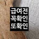 밍키펫마트 | 강아지 간식 괜찮을까? 🐶 한입에 반한 비스켓에서 털(?) 발견..급여 중단