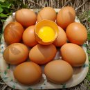 금용농장 이미지