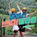 펫밀리# 이미지