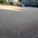 삼어초등학교 이미지