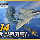 F14 이미지