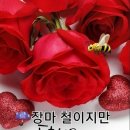 팝송 이미지