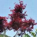 서기마을 이미지