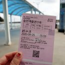 박가네통채칼국수 | 2020 퇴사기념여행 :: 3박4일 울릉도 Day4