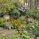 수수가든카페 - 연수구 | 수수가든카페