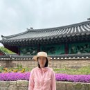 여성 라탄 버킷햇 추천 리뷰 내돈내산 챙넓은 밀짚모자 솔직 후기