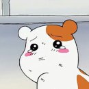 스위트클린 이미지