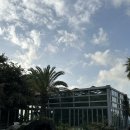 유니호텔 | 제주도 가족여행 숙소 애월 유니호텔 패밀리스위트 후기