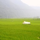 산천어마을 이미지