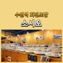 수원-0226 | 수원역 회전초밥 추천 스시오