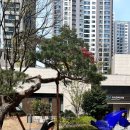 황령산레포츠공원(생태공원) 이미지