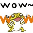 땡큐호프 이미지