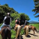 제주도 관광지 추천 제주 하늘바당 ATV 제주도 승마체험 이미지