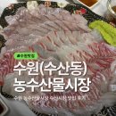 농수산물도매시장입구 버스정류장 옆 | 수원 농수산물도매시장 수산동 맛집 믿음수산 대우수산 산오징어회 참돔회 우럭회 구매후기