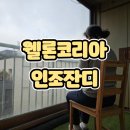 [웰론코리아 인조잔디] 셀프 인테리어 테라스 꾸미기로 집에서 야무지게 챙기는 조경 추천