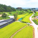 성공 태양광발전소 이미지