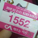 황금들녘 | 러닝하러 2024 서산 코스모스 황금들녘 마라톤 다녀온 후기, 서울에서 서산까지 대중교통
