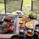 대구 팔공산 바베큐 맛집 모닥 텍사스바베큐 다녀온 솔직후기 (애견동반 가능)