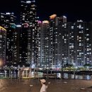 동백로29번길 25 | 부산의 밤바다 명소 3곳 추천 (해운대, 더베이101, 광안리)