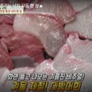 호지보보