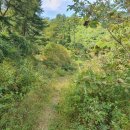 경기둘레길 가평18코스 이미지