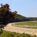 신기목장 이미지