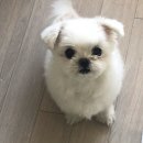 (주)금전푸드 이미지