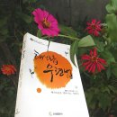 기경전기 이미지