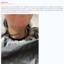 두한에너지 2 | 차이! 고민은 배송만 늦출 뿐! 인정받은 내돈내산 소중한 후기 리뷰! 나만의 힐링 편백 히노키 노천탕♥♥