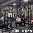 알파짐 | 대전탄방동 소규모크로스핏 개인 PT 1회차 후기 알파스트렝스짐