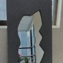 지성헤어크리닉 이미지