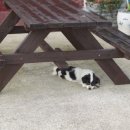 구계등민박 이미지