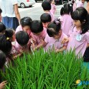 최정열농장 이미지