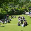 청평하다 이미지