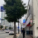 장터옛날통닭조양점 이미지