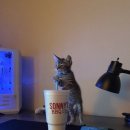 닥터뱅크 이미지